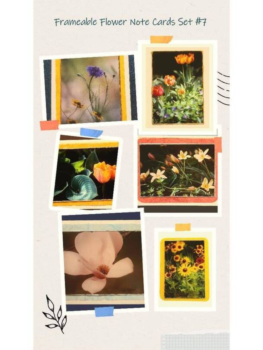 Frameable Flower Photo Note Cards: Mulberry Paper, Gold Seals - Set of 6